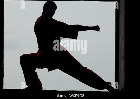 Shaolin Warriors wushoo Mann silhouette Praxis Kampfkunst outdoor. Kung Fu Stockfoto