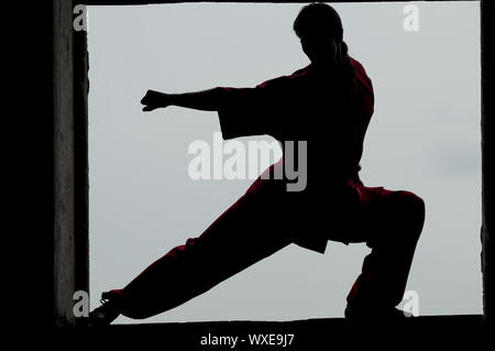 Shaolin Warriors wushoo Mann silhouette Praxis Kampfkunst outdoor. Kung Fu Stockfoto