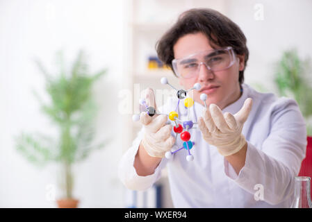 Junge männliche Biochemiker im Labor arbeiten Stockfoto