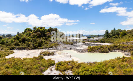 Geothermische Aktivität in Whakarewarewa Rotorua Neuseeland Stockfoto