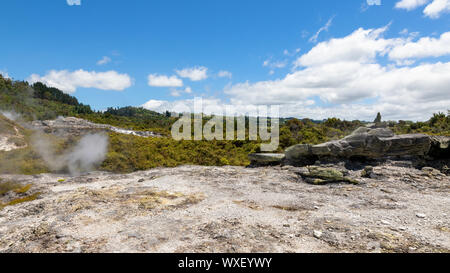 Geothermische Aktivität in Whakarewarewa Rotorua Neuseeland Stockfoto