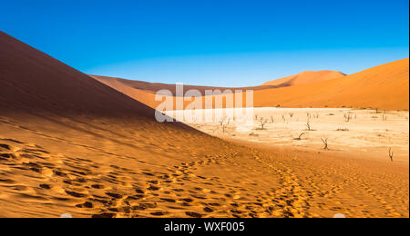 Rote Sanddünen im Deadvlei, Sossusvlei, Namib-Naukluft-Nationalpark, Namibia Stockfoto