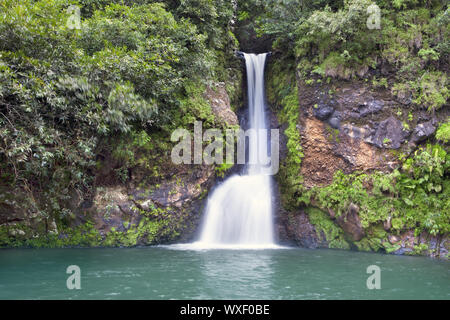 Mauritius. Kleine Wasserfälle im Tal von 23 Farben der Erde Park in Mare-aux-Aiguilles Stockfoto