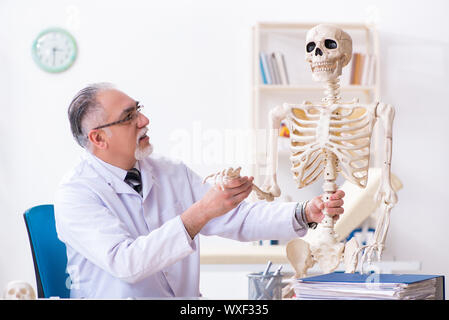 Alter männlicher Arzt mit Skelett Stockfoto