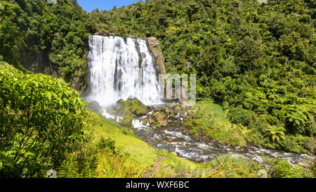 Marokopa falls Stockfoto