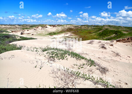 Blu Sky über Sand Dünen von Zandvoort, Holland Stockfoto