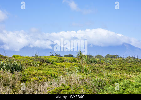 Landschaft im Süden von Neuseeland Stockfoto