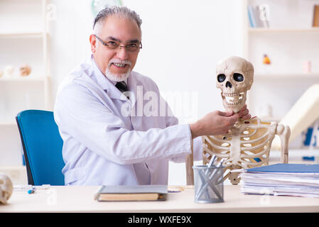 Alter männlicher Arzt mit Skelett Stockfoto