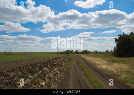 Ländliche Straße entlang des Feldes nach der Ernte Stockfoto