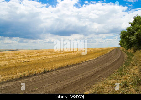 Rural Road in der Nähe des Feldes mit einem Weizen Stockfoto