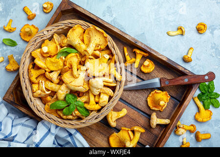 Wilde Pfifferlinge in einem Weidenkorb close-up. Stockfoto