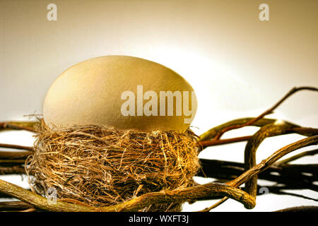 Großen goldenen Ei im Bird's Nest Stockfoto
