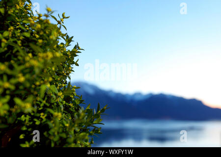 Genfer See Landschaft am Sonnenaufgang Stockfoto