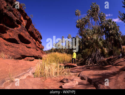 Felsige Klippen, das Palm Valley, Northern Territory, Australien. Das PALM VALLEY IST IN DER WÜSTE OASE DER Finke Gorge National Park entfernt. Stockfoto