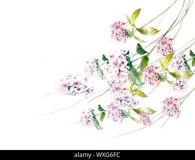 Aquarell von Blättern und Blumen auf weißem Hintergrund Stockfoto