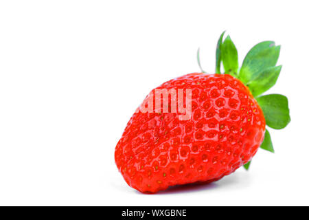 Eine Erdbeere isoliert auf weißem Stockfoto