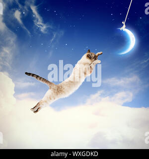 3 de 33943-f 204-4196-a 485-4 d 47a041 F 247 Stockfoto