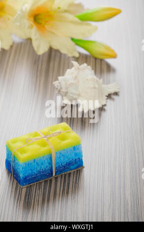 Seife Bad Schwamm Herzmuschel Shell und Blume Stockfoto