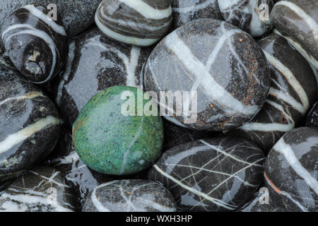 Nassen Kieselsteinen. Zehen Tal, Schweiz Stockfoto