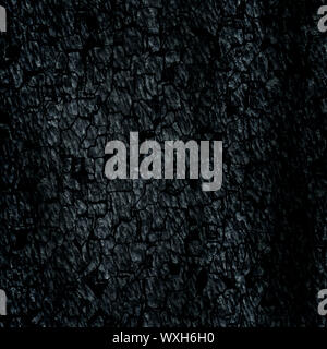 Ein Bild von einem High Ausführliche schwarzer Hintergrund Stockfoto