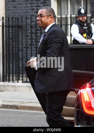 Konservative Partei Vorsitzender James geschickt kommt für eine Kabinettssitzung am 10 Downing Street, London. Stockfoto