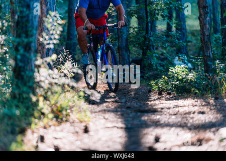 Älteren übergewichtigen Mann, Fahrten mit dem Mountainbike durch die Wälder mit extremen Aufwand. Stockfoto