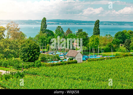 Curtural Landschaft mit Obstplantage in der Nähe von Hagnau am Bodensee (Deutschland) Stockfoto
