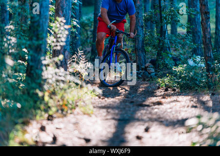 Älteren übergewichtigen Mann, Fahrten mit dem Mountainbike durch die Wälder mit extremen Aufwand. Stockfoto