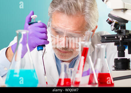 Mikro-Chip fokussiert Pipettieren Profilösung senior Life Sciences.  Objektiv-Fokus auf den ersten Blick der Forscher. Stockfoto