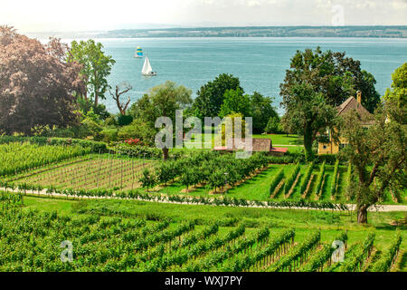 Curtural Landschaft mit Obstplantage in der Nähe von Hagnau am Bodensee (Deutschland) Stockfoto