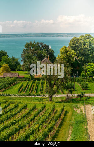 Curtural Landschaft mit Obstplantage in der Nähe von Hagnau am Bodensee (Deutschland) Stockfoto