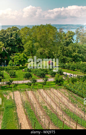 Curtural Landschaft mit Obstplantage in der Nähe von Hagnau am Bodensee (Deutschland) Stockfoto