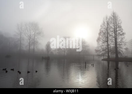 Baum-Silhouette, Brücke und See im dichten Morgennebel Stockfoto