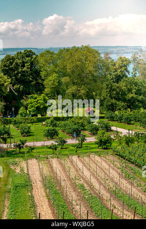 Curtural Landschaft mit Obstplantage in der Nähe von Hagnau am Bodensee (Deutschland) Stockfoto