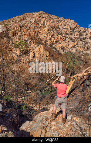 Frau fotografieren in der Nähe der Standley Chasm, West MacDonnell National Park, Northern Territory, Australien Stockfoto