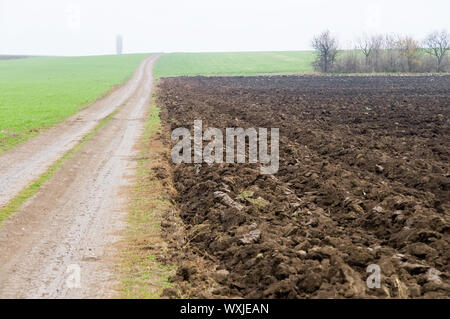 Rural Road in der Nähe des Feldes im Nebel im Herbst Stockfoto