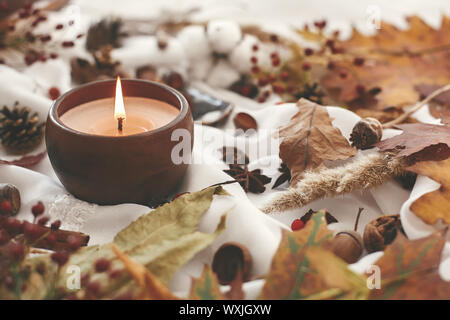 Hallo Herbst, gemütliche inspirierende Bild. Hygge Lebensstil. Kerze mit Beeren, fallen, Blätter, Kräuter, Eicheln, Nüsse, Zimt auf weißem Stoff. Herbstliche Stimmung Stockfoto