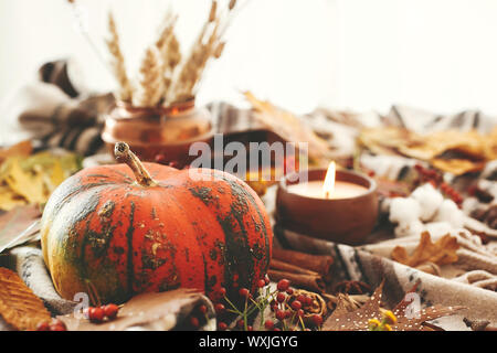 Hygge Lifestyle, herbstliche Stimmung. Happy Thanksgiving. Gemütliche inspirierende Bild. Kürbis und Kerze mit Beeren, Herbstlaub, Anis, Kräuter, Eicheln, Nüsse, c Stockfoto