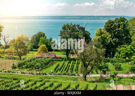 Curtural Landschaft mit Obstplantage in der Nähe von Hagnau am Bodensee (Deutschland) Stockfoto