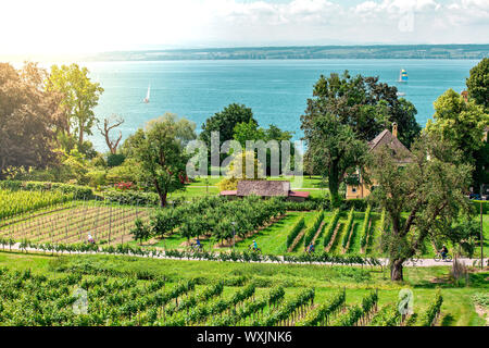 Curtural Landschaft mit Obstplantage in der Nähe von Hagnau am Bodensee (Deutschland) Stockfoto