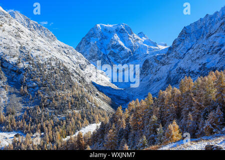 Der Berg Mont Collon (3637 m) im Herbst. Tal von Arolla, Wallis, Schweiz Stockfoto