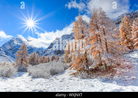 Der Berg Mont Collon (3637 m) im Herbst. Tal von Arolla, Wallis, Schweiz Stockfoto