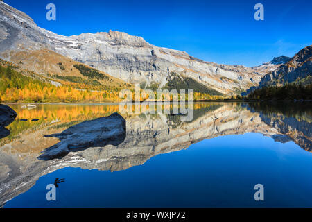 Bergsee Lac de Derborence. Wallis, Schweiz Stockfoto