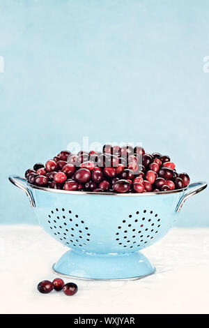 Frische Cranberries in einem Sieb vor einem blauen Hintergrund. Stockfoto