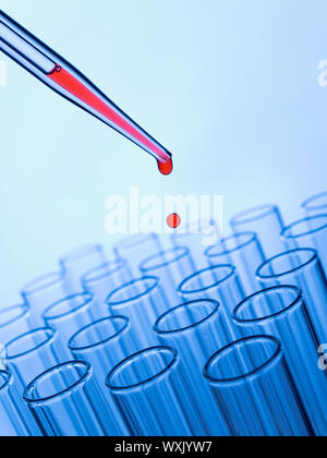 Nahaufnahme von einer Pipette Fallenlassen einer roten Probe in ein Reagenzglas. Stockfoto