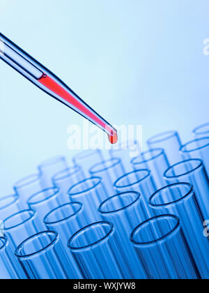 Nahaufnahme von einer Pipette Fallenlassen einer roten Probe in ein Reagenzglas. Stockfoto
