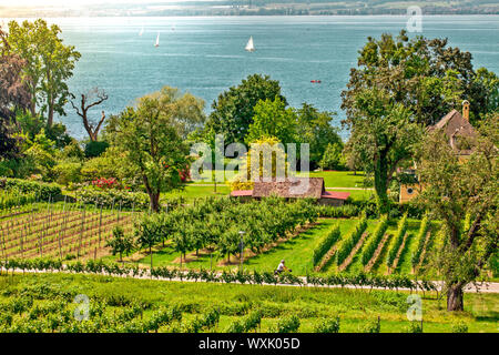 Curtural Landschaft mit Obstplantage in der Nähe von Hagnau am Bodensee (Deutschland) Stockfoto