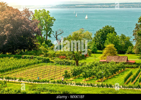 Curtural Landschaft mit Obstplantage in der Nähe von Hagnau am Bodensee (Deutschland) Stockfoto