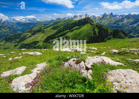 Schweizer Alpen mit Chaiserstock, Fulen, Rossstock, Schweiz, vom Berg Fronalpstock. gesehen. Stockfoto