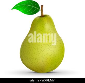 Realistische Birne isoliert auf weißem Hintergrund. Vector Illustration Stock Vektor